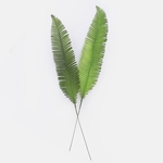 Green (A664-01)