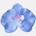 Blue (W665-03)