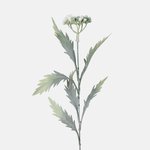 White (A740-01)