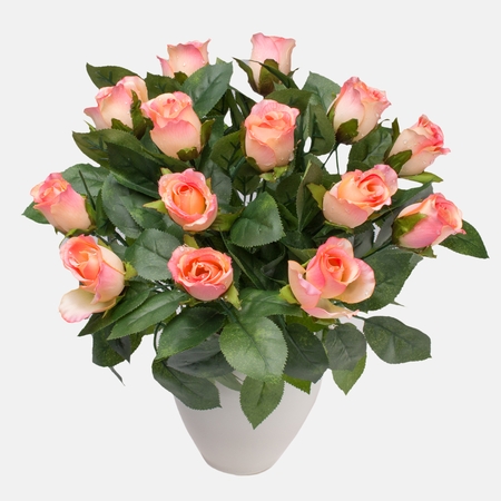 Róża w pąku z kroplą rosy x 14
