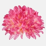 Lt. Yellow/Mauve (W498-17)