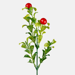 Red (A422K-01)