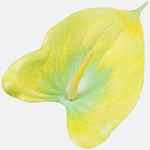 Yellow/Green (W444-06)