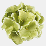 Green (W611-12)