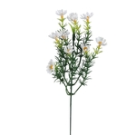 White (A204K-06)