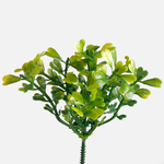 T.T. Green (A610-01)