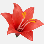 Coral (W374-26)