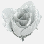 Silver/Gray plastic (W654S-02)