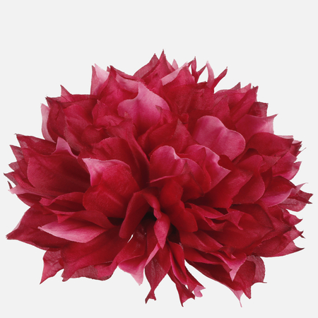 Dalia