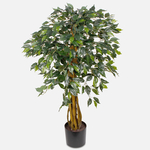 Green (D106)