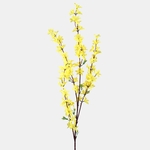Yellow (L168-01)