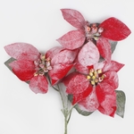 Red (L882S-01)