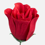 Pure Red (W143-01)
