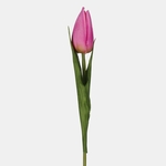 Lt. Pink/Green (6) (G499-03)