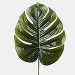 Green (A653)