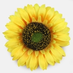 Yellow (W737-01)