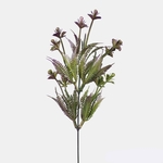Purple (A791-04)